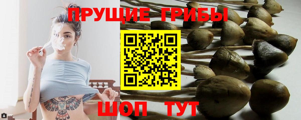 Жуковский  купить наркоту  Вход с VPN  Псилоцибиновые грибы ЛСД  Галлюциногенные грибы ЛСД 